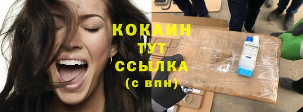 сатива Арсеньев