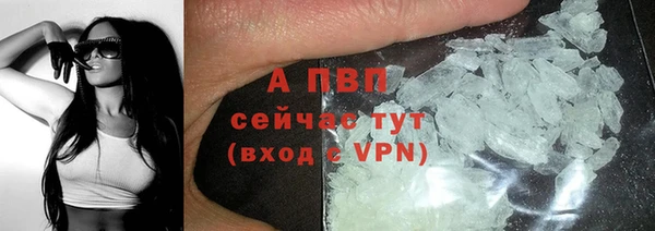 сатива Арсеньев