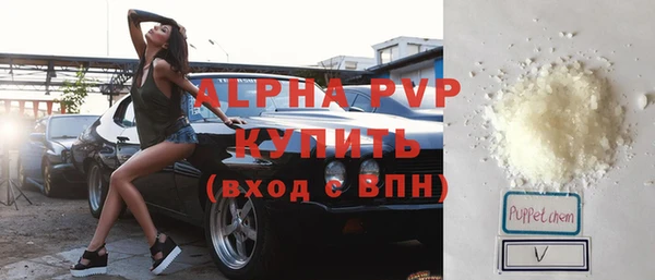 сатива Арсеньев