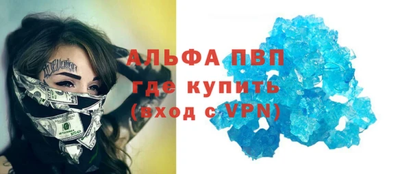 сатива Арсеньев