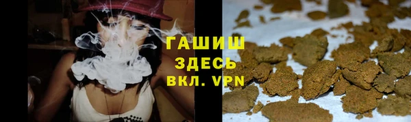 сатива Арсеньев