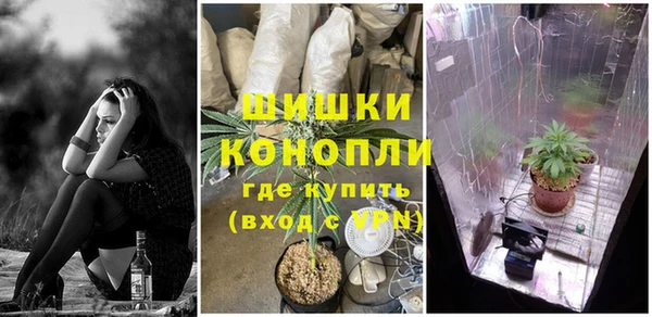 сатива Арсеньев